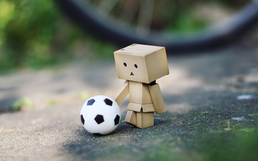 Danbo bilder