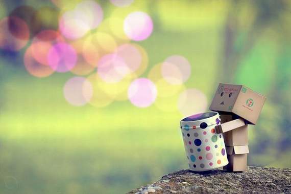 Danbo bilder