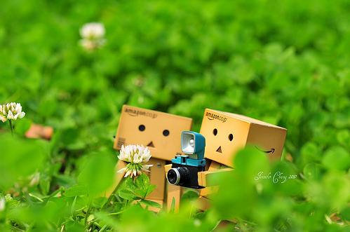 Danbo bilder