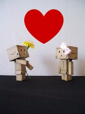 Danbo bilder