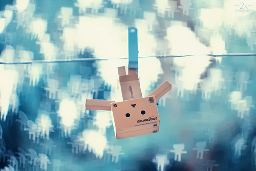 Danbo bilder