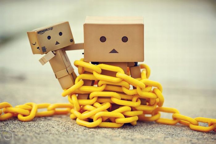 Danbo bilder