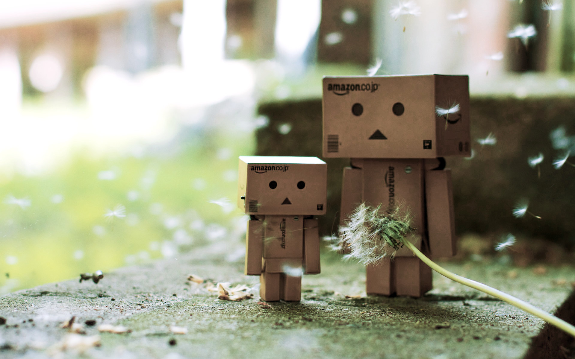 Danbo bilder