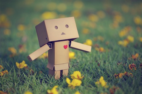 Danbo bilder