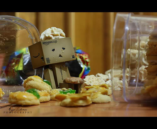 Danbo bilder