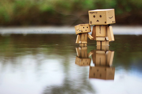 Danbo bilder