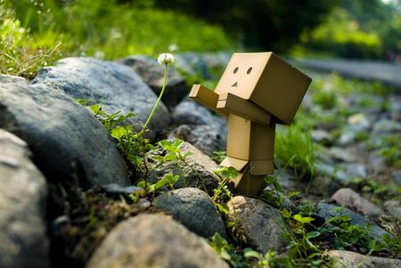 Danbo bilder