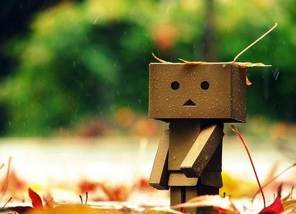 Danbo bilder