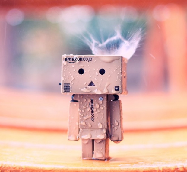 Danbo bilder