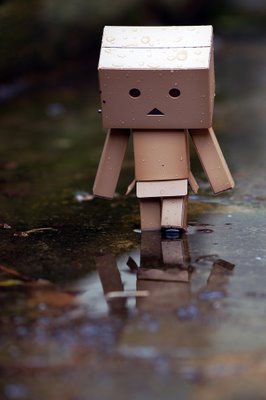 Danbo bilder