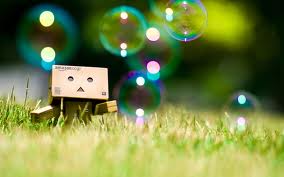 Danbo bilder