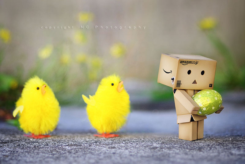 Danbo bilder