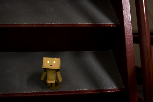 Danbo bilder