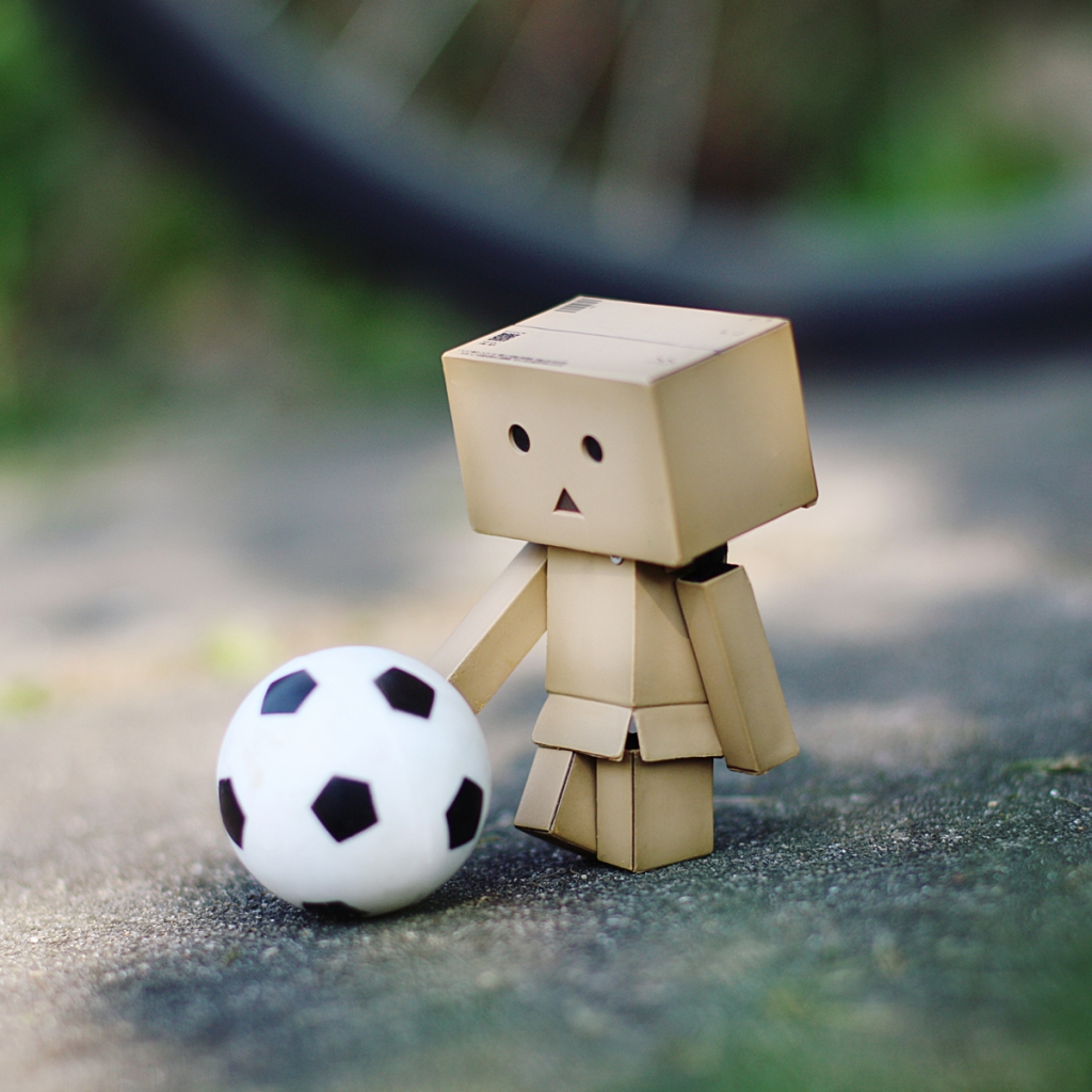 Danbo bilder