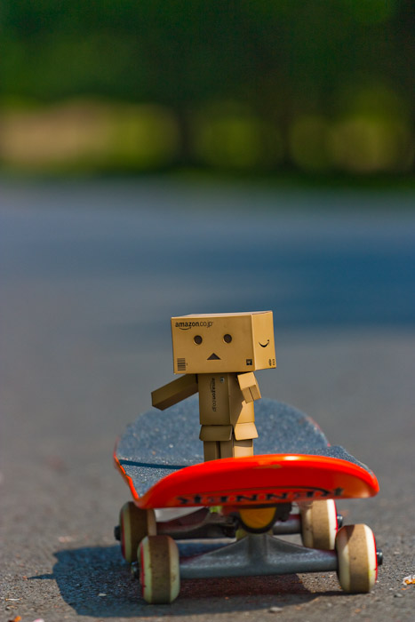 Danbo bilder