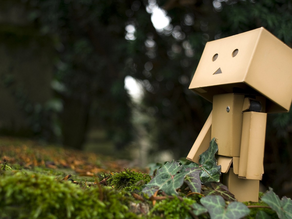 Danbo bilder