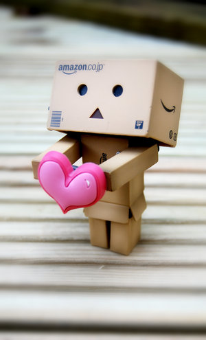 Danbo bilder