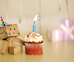 Danbo bilder
