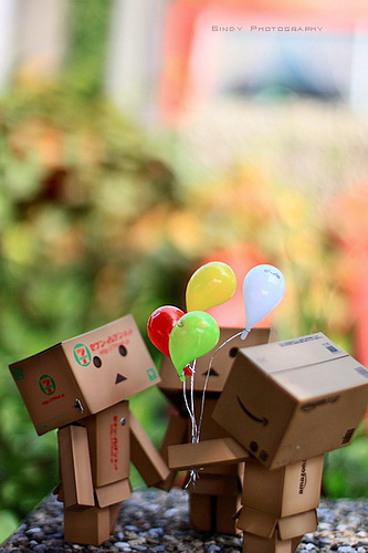 Danbo bilder