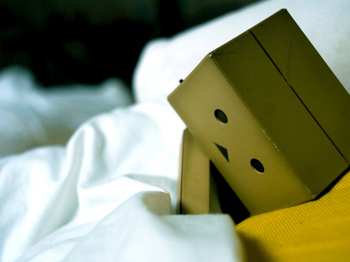 Danbo bilder