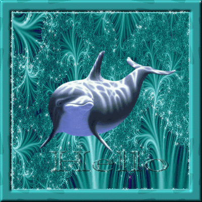 Delfine bilder