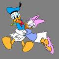 Donald duck bilder