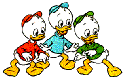 Donald duck