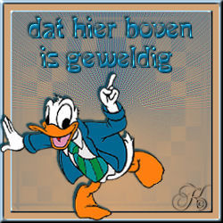 Donald duck bilder