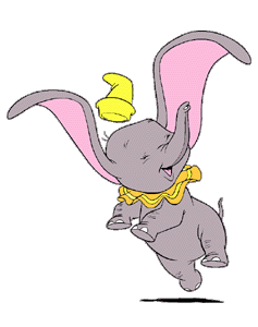 Dumbo bilder