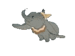 Dumbo bilder
