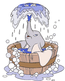 Dumbo bilder
