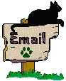 E mail