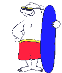 Eisbaren bilder