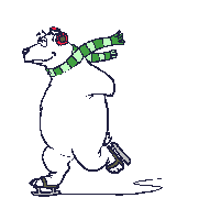 Eisbaren bilder