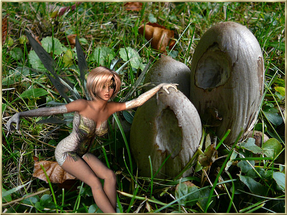 Elfen bilder