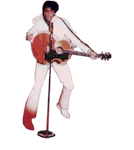 Elvis bilder
