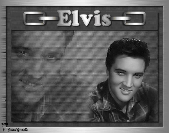 Elvis bilder