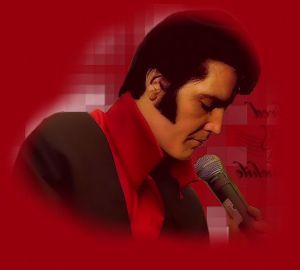 Elvis bilder