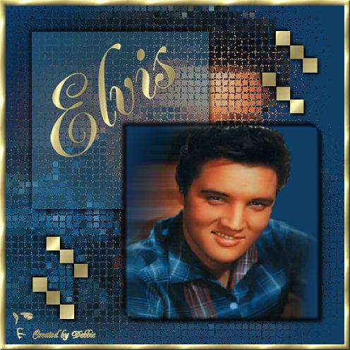 Elvis bilder