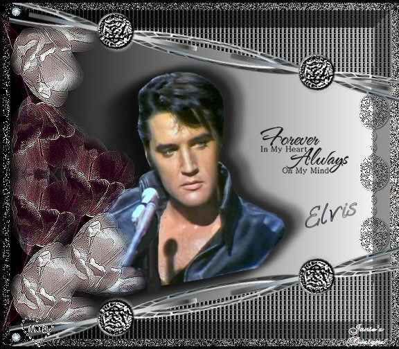 Elvis bilder