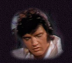 Elvis bilder