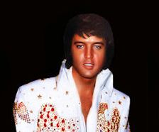 Elvis bilder