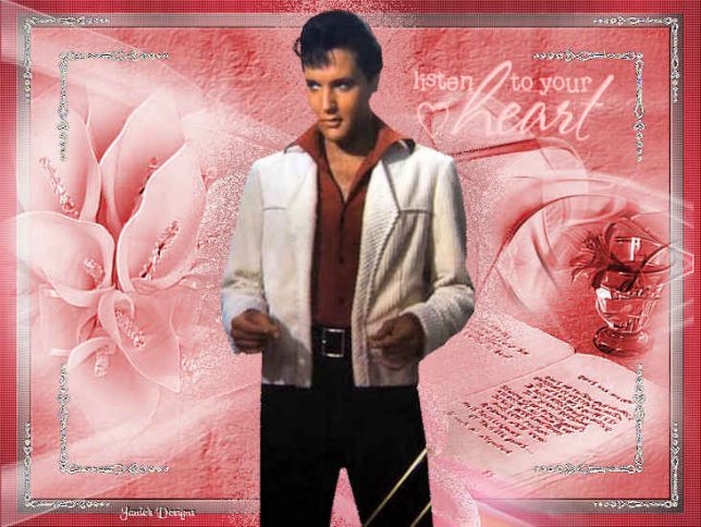 Elvis bilder