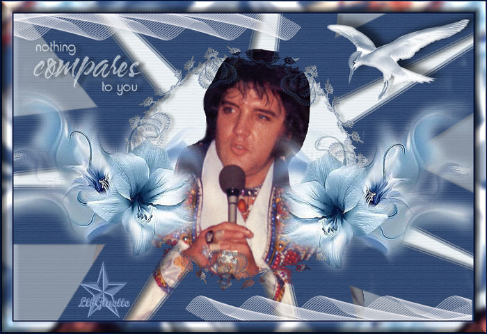 Elvis bilder