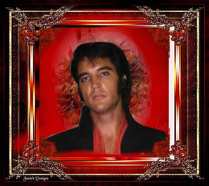 Elvis bilder