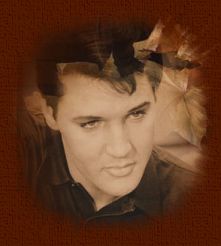 Elvis bilder