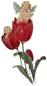 Engeln bilder