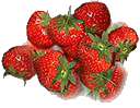 Erdbeeren bilder