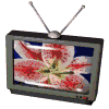 Fernsehen bilder