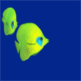 Fischen bilder